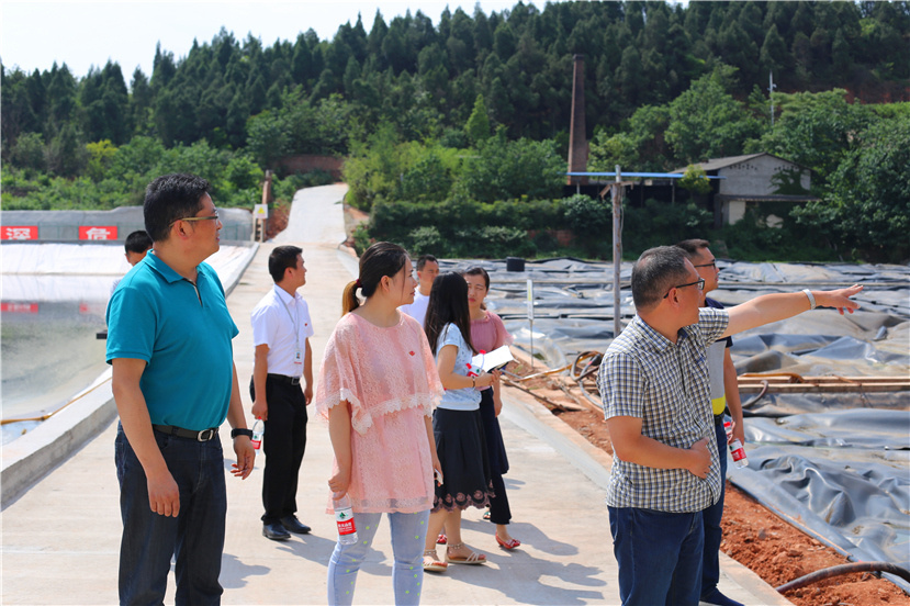 集團(tuán)第一檢查組檢查杰陽排水公司、固廢處置公司安全防汛和環(huán)保達(dá)標(biāo)各項(xiàng)工作3_副本