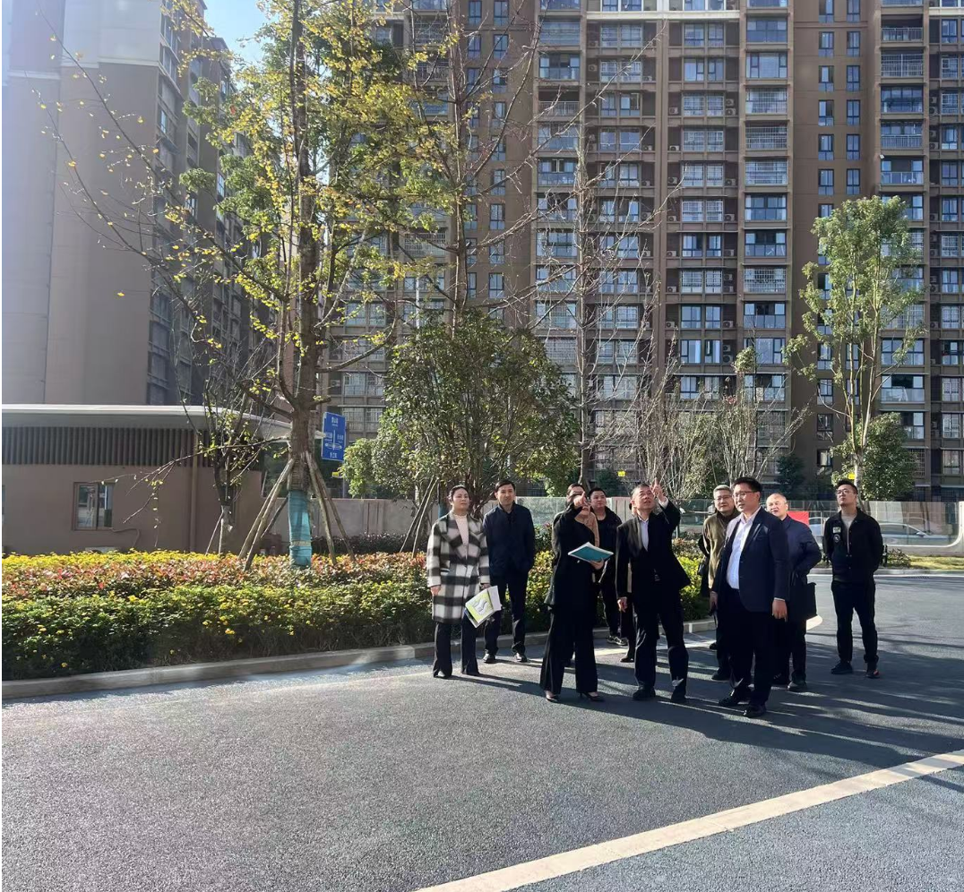 副市長徐春龍調(diào)研德陽市老年養(yǎng)護(hù)院、德陽市民政精神衛(wèi)生福利機(jī)構(gòu)項(xiàng)目建設(shè)工作
